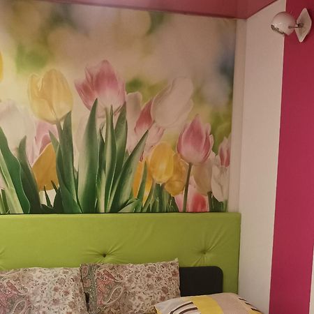 Goscinne Gniazdo Będzin Buitenkant foto
